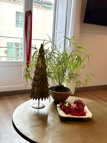 Cite Apartment | Coural' Chic