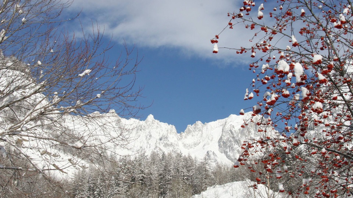 Dolonne Apartment | Courmayeur Mont Blanc - 3 bedroom apartment