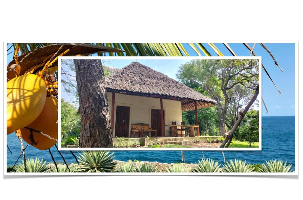 Shimoni House | Cove House House 60 m2 Creekside Indian Ocean