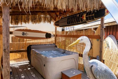 Fort Bragg Boat Rental | Cowabunga