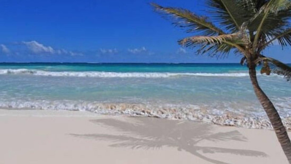 Costa Maya Condo | Cozumel Beach Front Condo on San Francisco Beach @ Residencias Reef