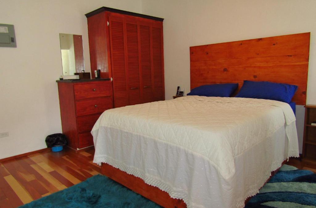 Blue Waters Apartment | Cozy 1 bed Apt 2B in Rockley near American Embassy
