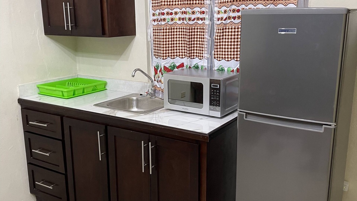 Kingston Apartment | Cozy 1 Bedroom 5 Minutes from the Capital