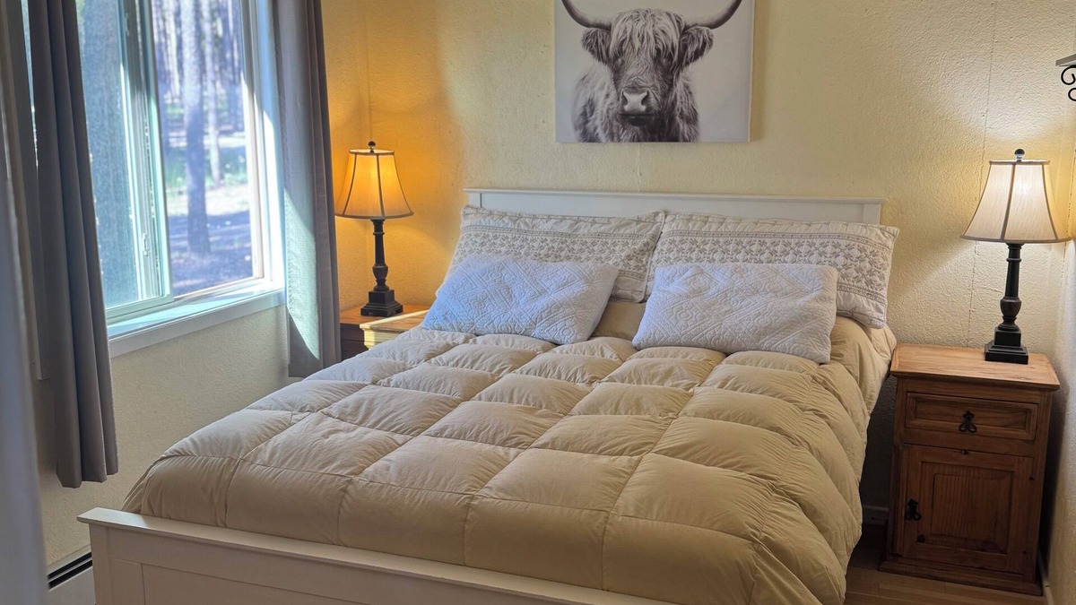 Casper Mountain Cabin | Cozy 1-bedroom cabin on Casper Mountain set upon 6 acres of peaceful forest.