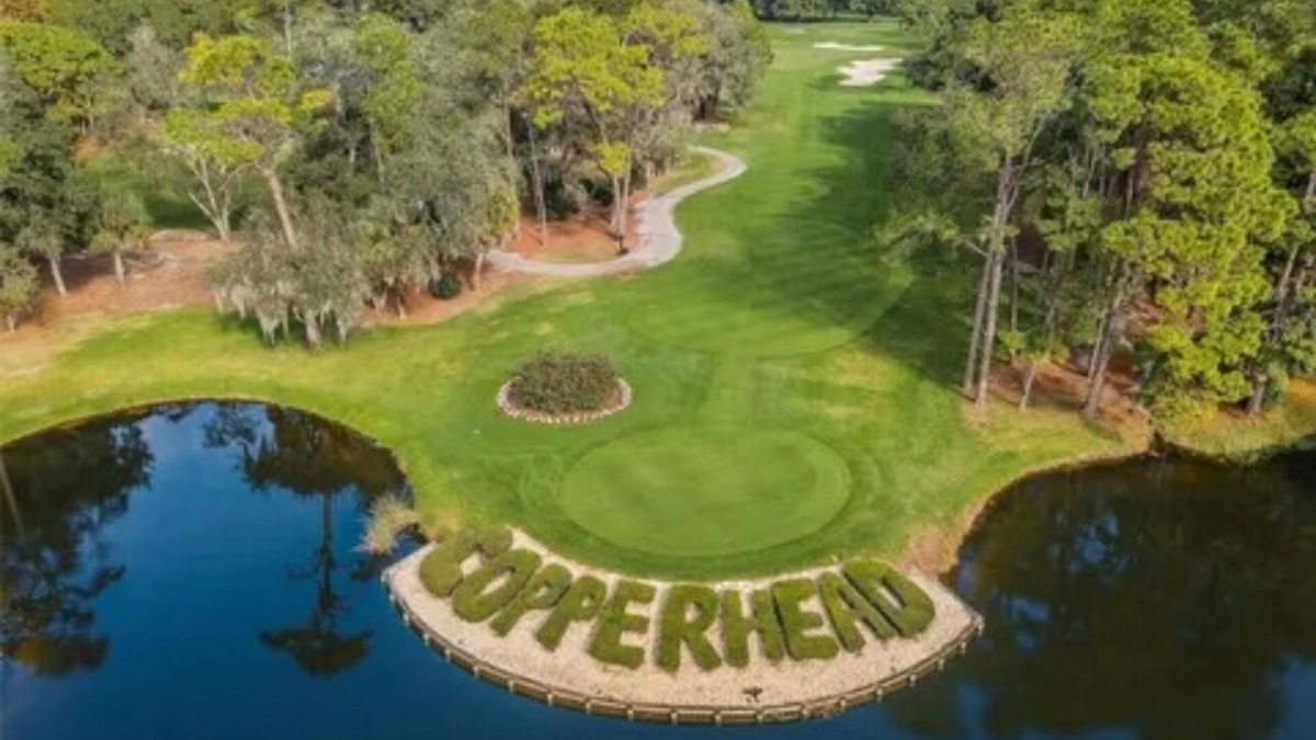 Palm Harbor Condo | Cozy 1-bedroom condo in the heart of Innisbrook prestigious Golf Course’s