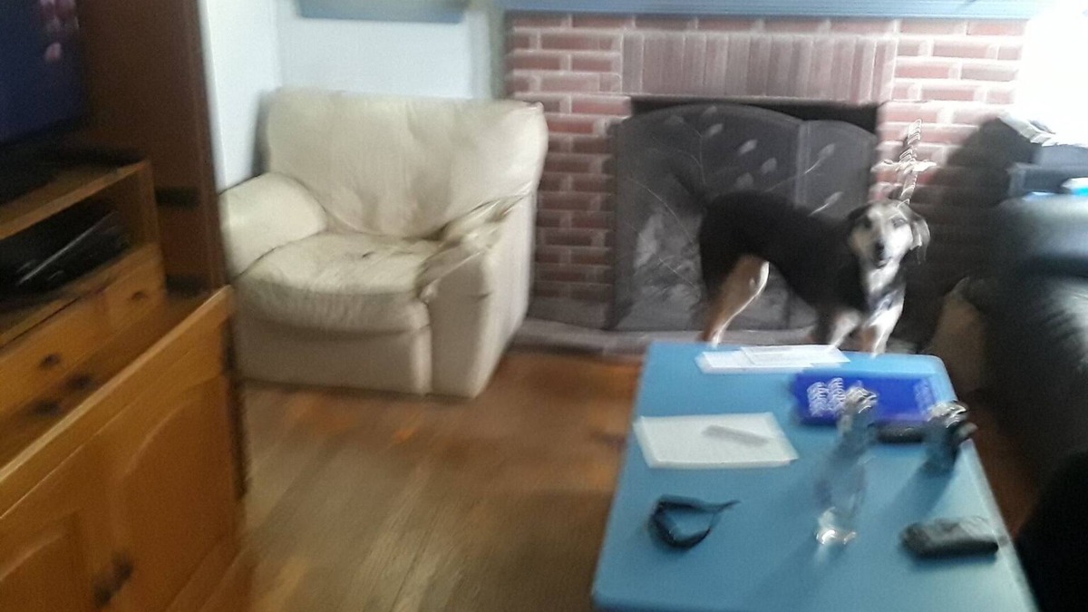 Berwyn Apartment | Cozy 1 BR, Walk to Univ of MD, walk to Metro DC access, walk to shops n restaura