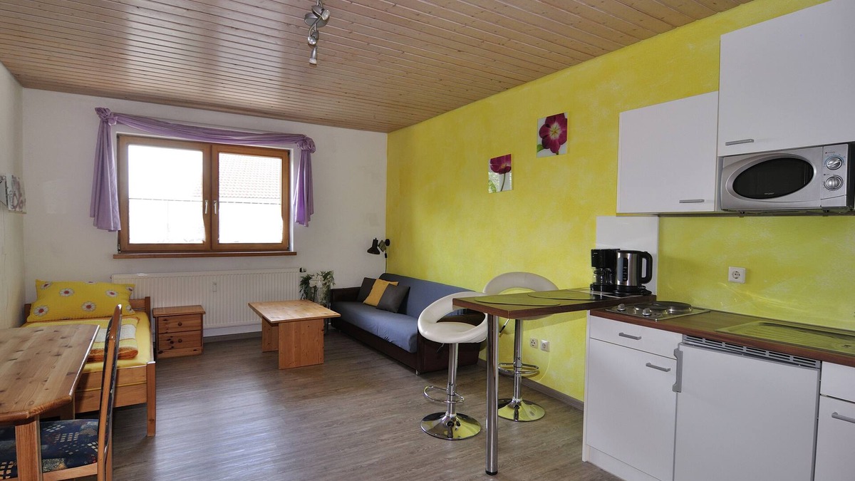 Neukirch Apartment | Cozy 1-room apartment (not bookable until further notice!)