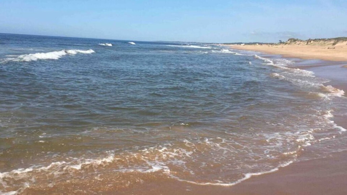 Ocean Park House | Cozy 2-bedroom new house 20 minutes drive from Punta del Este n