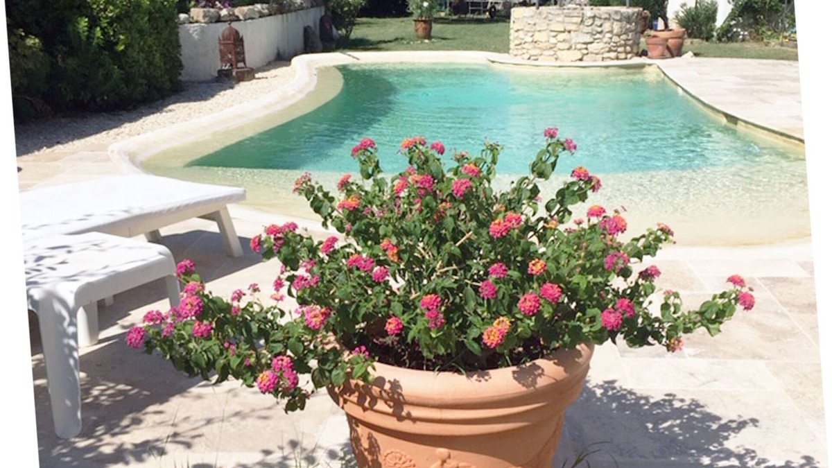 Fontvieille House | Cozy 2 room apartment with swimming pool (2/4 pers)