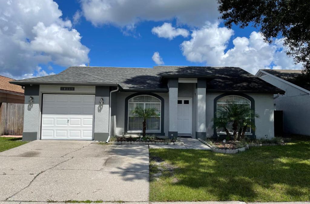 Carrollwood House | Cozy 3 bedroom home close to everything in Tampa!
