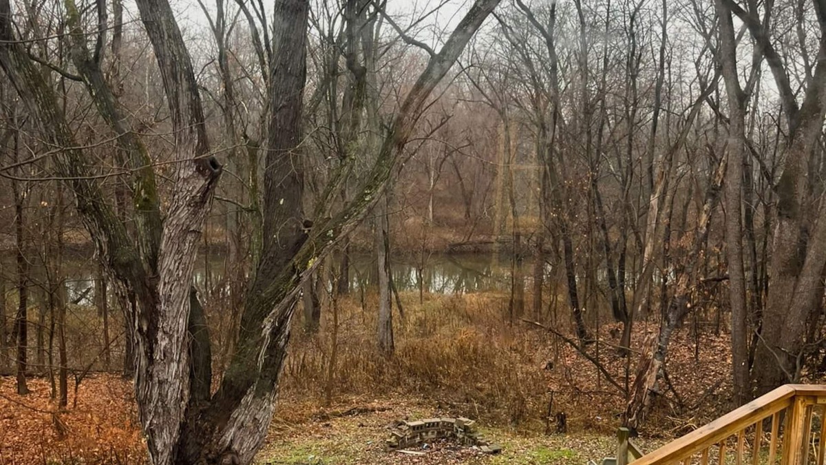 Niles House | Cozy 3-bedroom house on the river in Niles, Ohio with WiFi