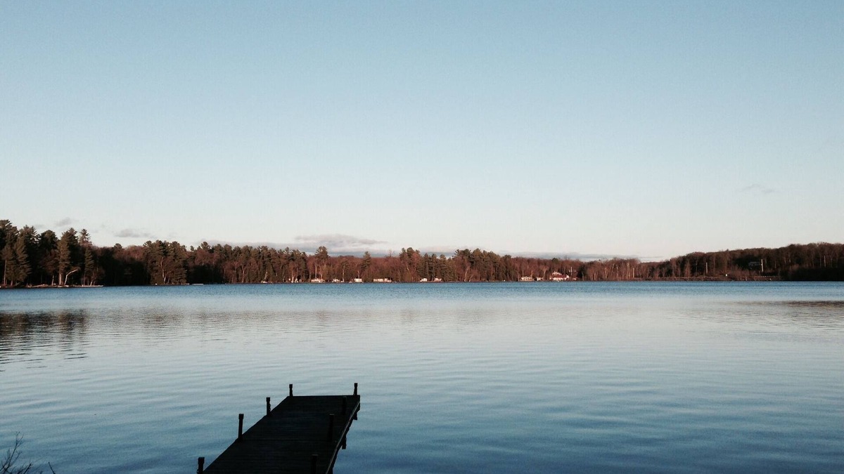 Torrance Cottage | Cozy 3 Bedroom Lakefront Cottage In The Muskoka For Rent