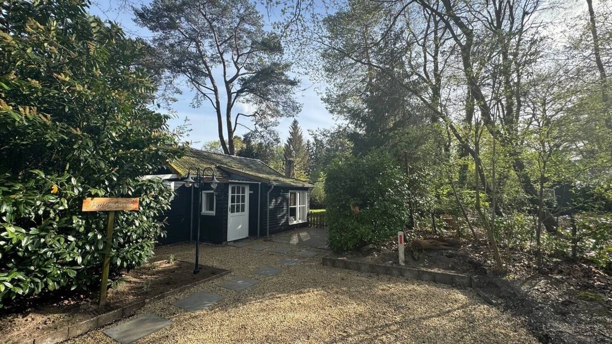 Beerze House | Cozy and cozy wooden cottage, Extraordinary Beerze. Pet-friendly