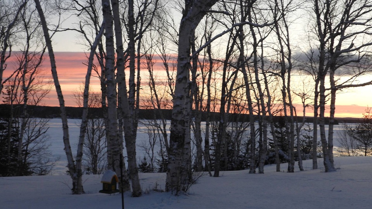 Albert Bridge Cottage | Cozy and Quiet Cottage on Mira River. Close to Sydney and Fortress Louisbourg.