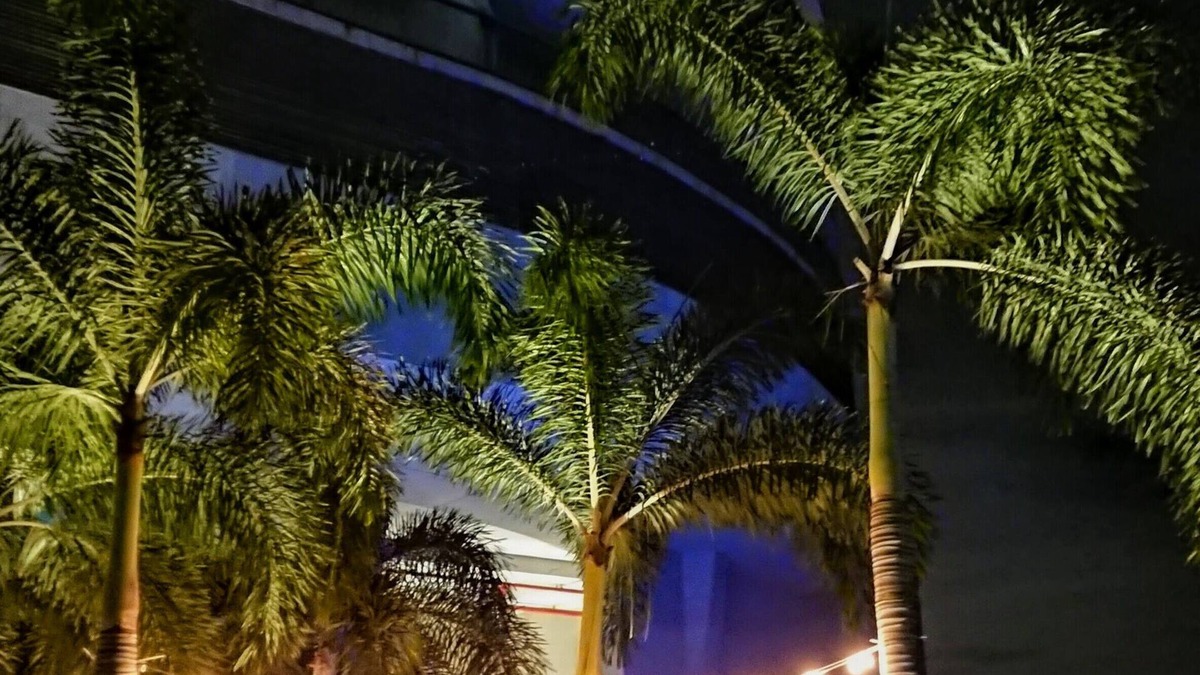 Punta Pacifica Apartment | Cozy Apartament in Trump Tower