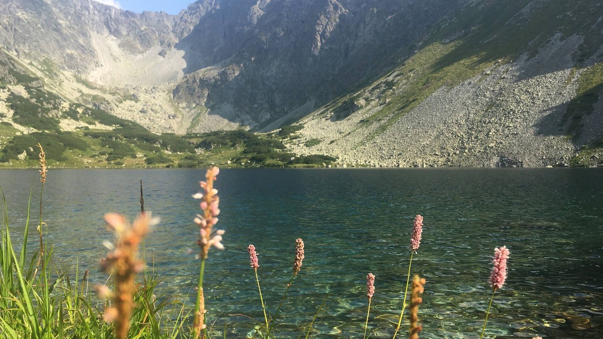 Liptovsky Hradok Apartment | Cozy Apartment idealnfor Hiking, Cycling, Outdoorsnn