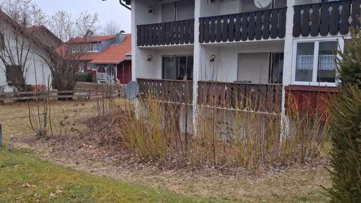 Gruenenbach Apartment | Cozy apartment in Schönau