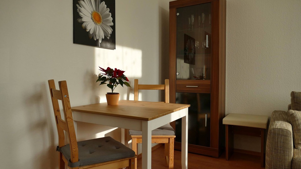 Ubigau Apartment | Cozy apartment near the bike path & center, Vis à Vis Schloss Übigau, incl. bikes