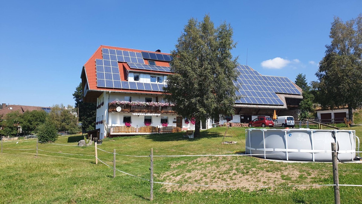 Faulenfurst-Seebrugg Apartment | Cozy apartment not far from Schluchsee.