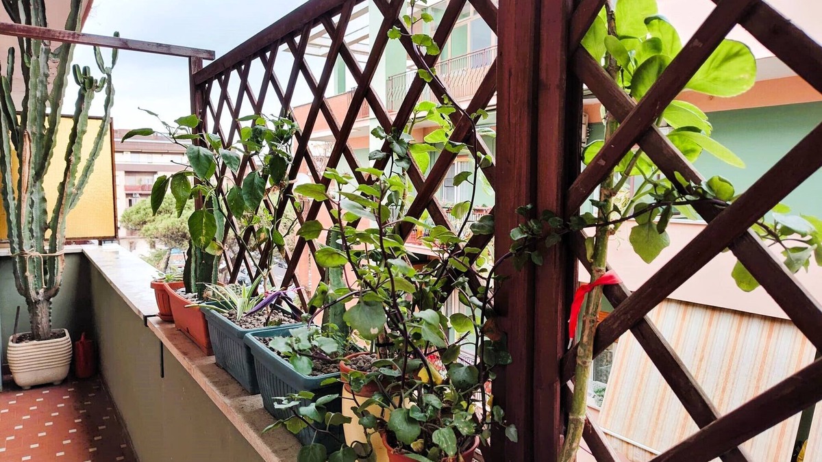 Quartiere XXXIII Lido di Ostia Ponente Apartment | Cozy apartment within walking distance of the sea in Rome