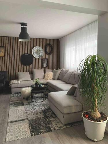 Haaleiti Apartment | COZY APPARTMENT Free parking