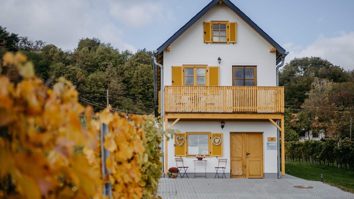 Deutsch Schuetzen-Eisenberg House | Cozy Kellerstöckl in the middle of the vineyards