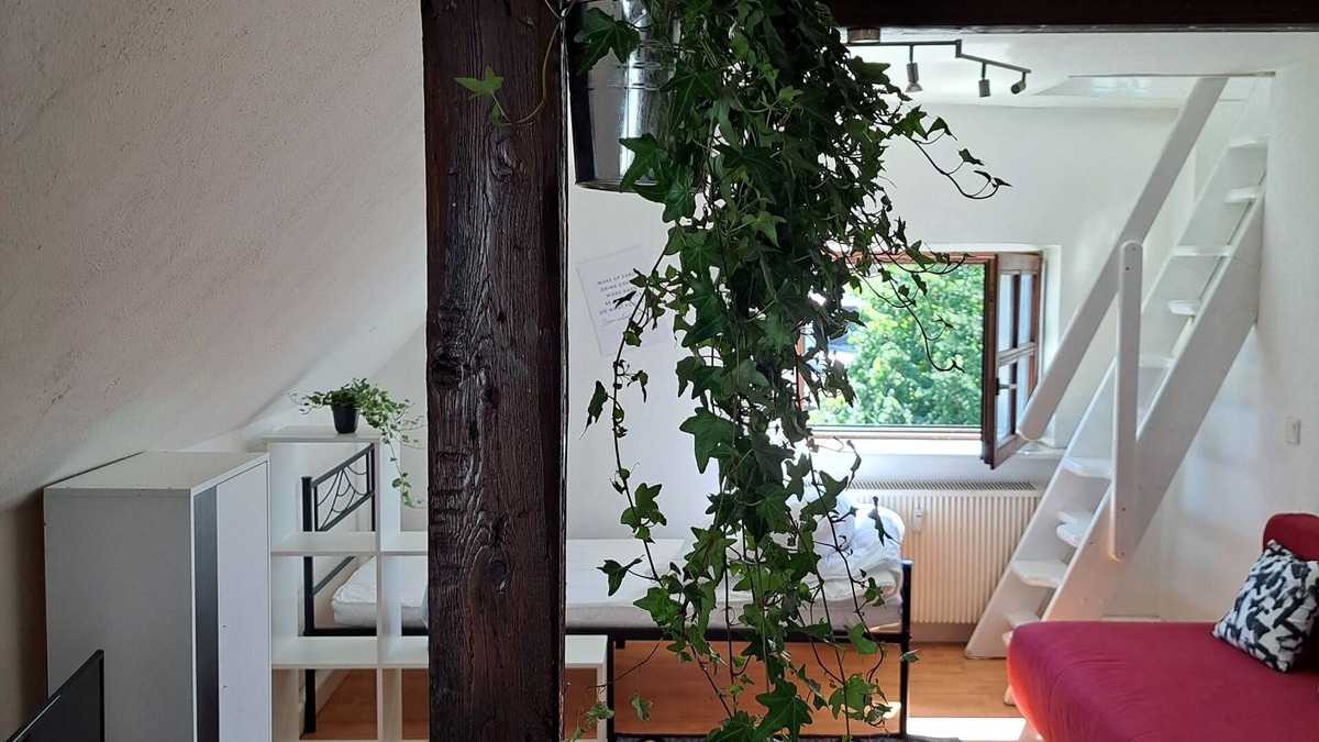 Saal an der Donau Apartment | Cozy attic apartment