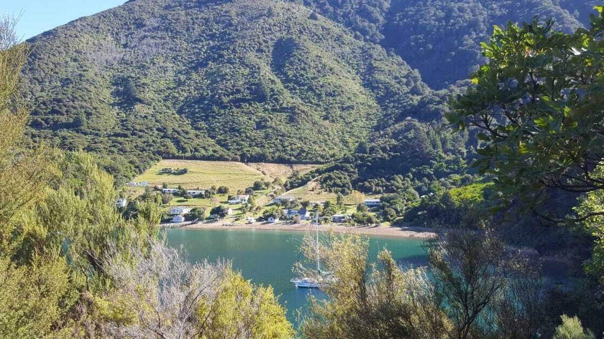 Saint Omer House | Cozy Bach in the Marlborough Sounds, Great Fishing Location