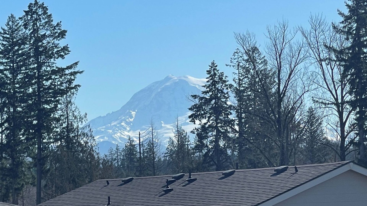 South Hill House | Cozy Basement - in charming Puyallup