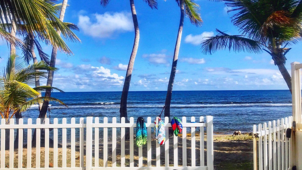 Guardarraya House | Cozy Beachfront, Private Pool & Stunning Ocean Views!