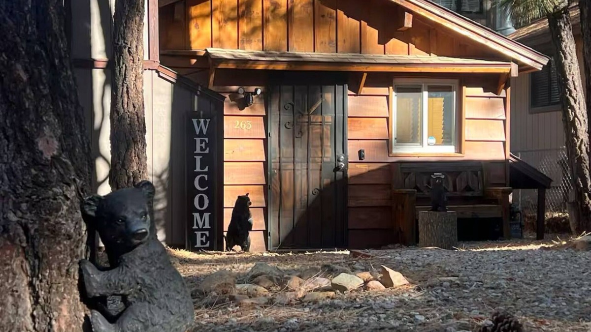 Big Bear Cabin | Cozy Bear Retreat + Hot-Tub & BBQ!