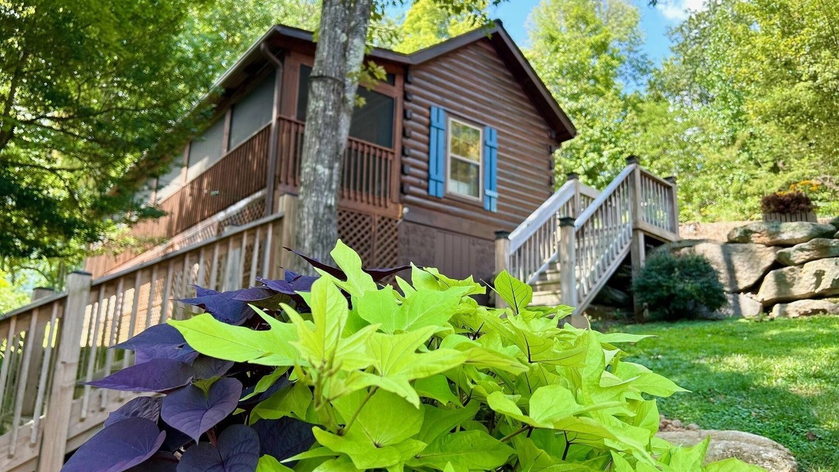 Lake Lure Cabin | Cozy Blue Skies Cabin - walk to Chimney Rock & Lake Lure