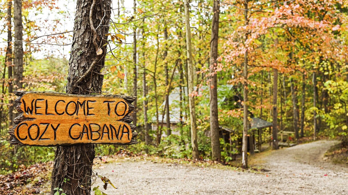 Carbon Hill Cabin | Cozy Cabana is secluded yet close to local attractions