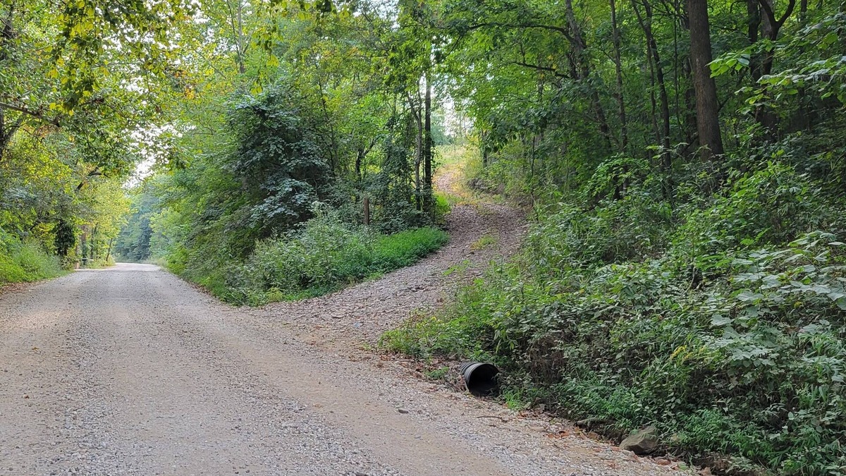 Elkins Cabin | Cozy cabin 16 miles from Razorback Stadium great for game weekends.