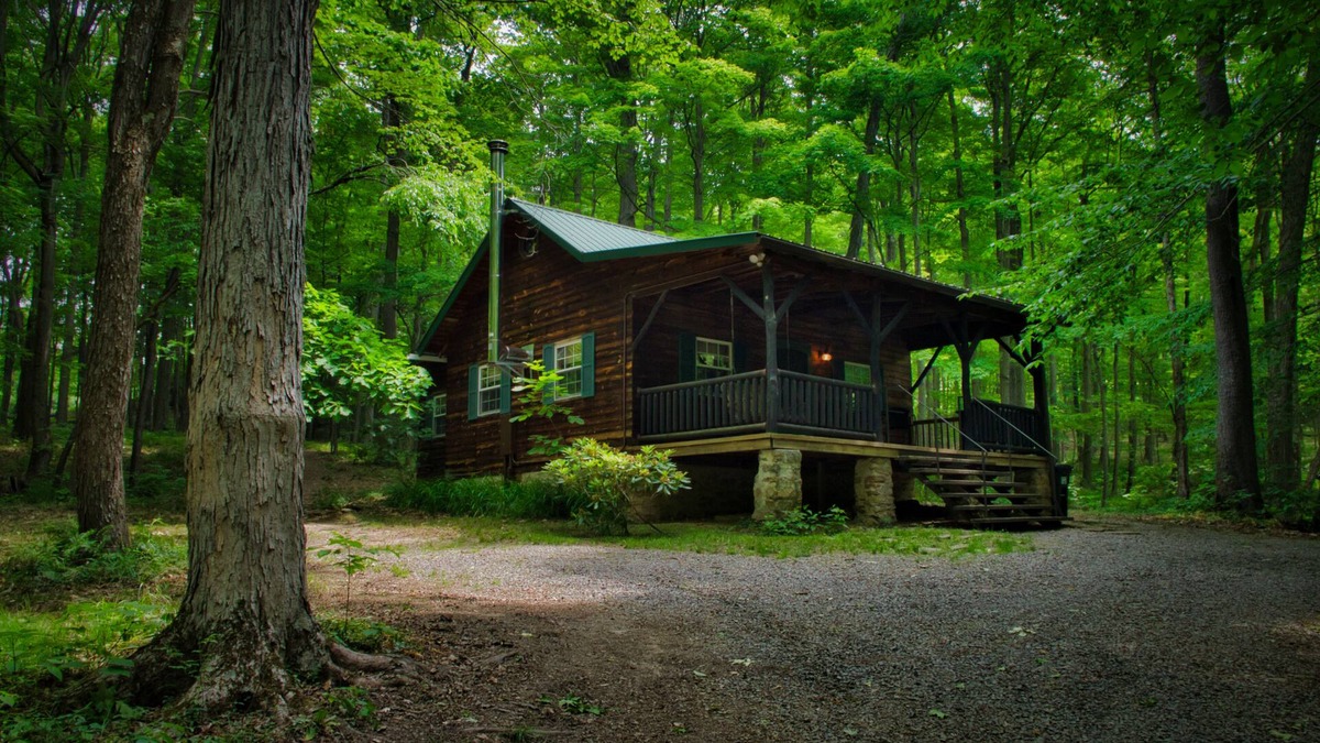 Kantner Cabin | Cozy Cabin Among the Trees - Rustic Charm, Modern Comforts, 26 Secluded Acres