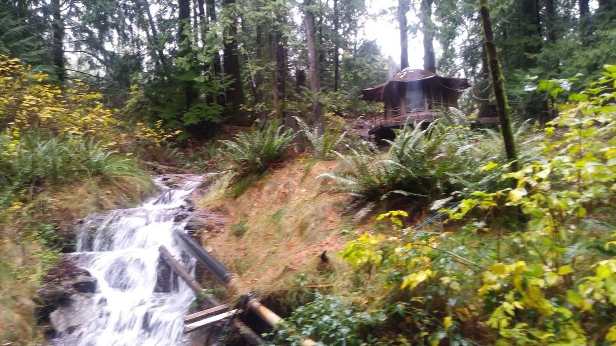 Sedro-Woolley Cabin | Cozy Cabin at SunRay Shire