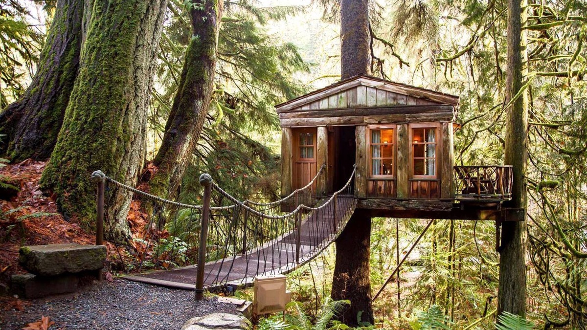 London Bed & Breakfast | Cozy cabin