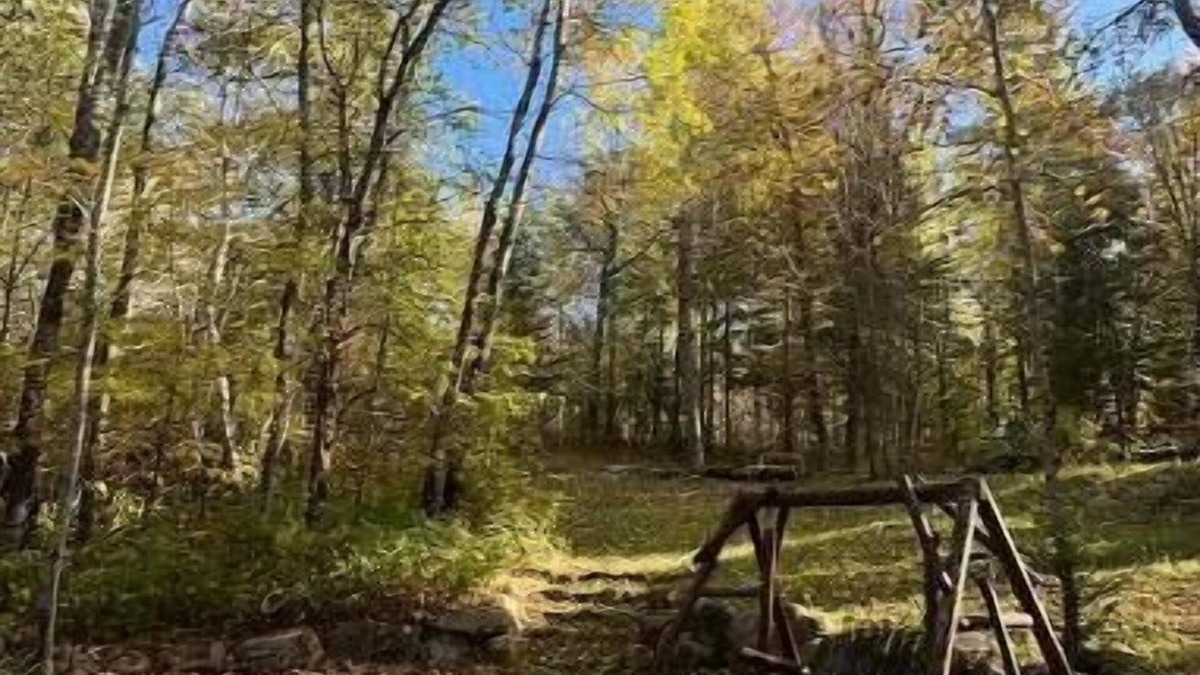 Backus Cabin | Cozy Cabin in Backus, MN