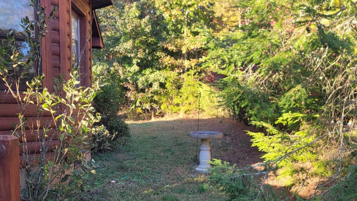 Columbus Cabin | Cozy cabin in charming Columbus. Minutes from Equestrian Center, vineyards etc.