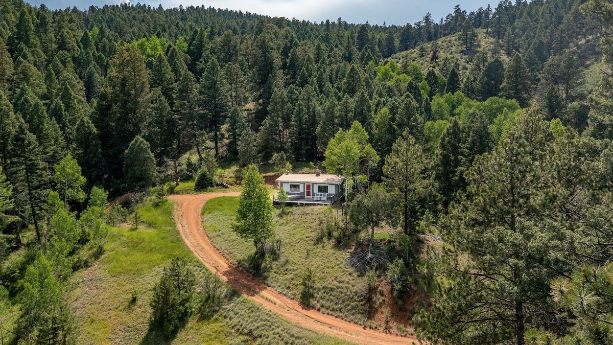 Woodland Park Cabin | Cozy cabin in Pike National Forest