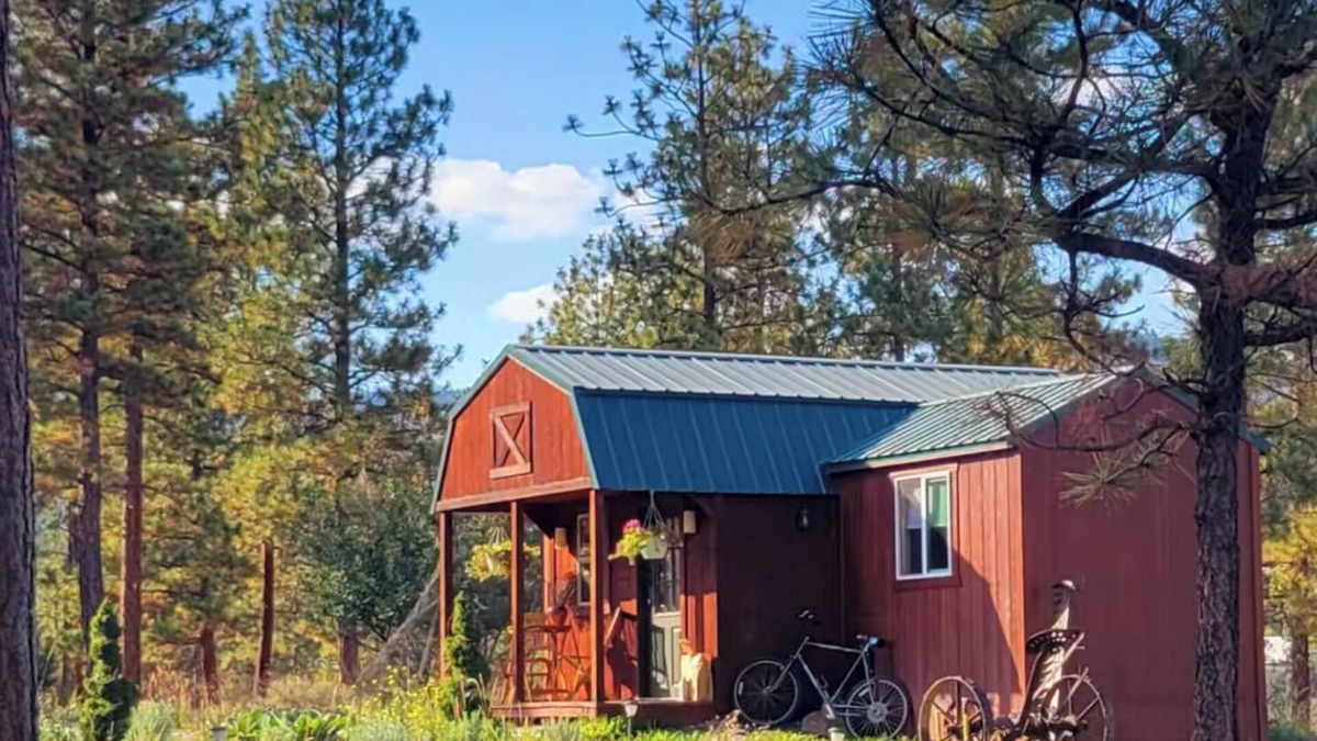 Hot Springs Cabin | Cozy Cabin in the Pines