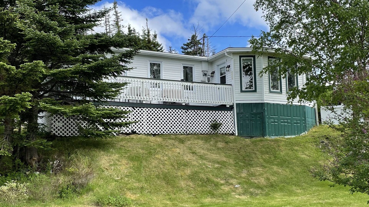 Cape Broyle Cabin | Cozy Cabin just steps from the East Coast Trail