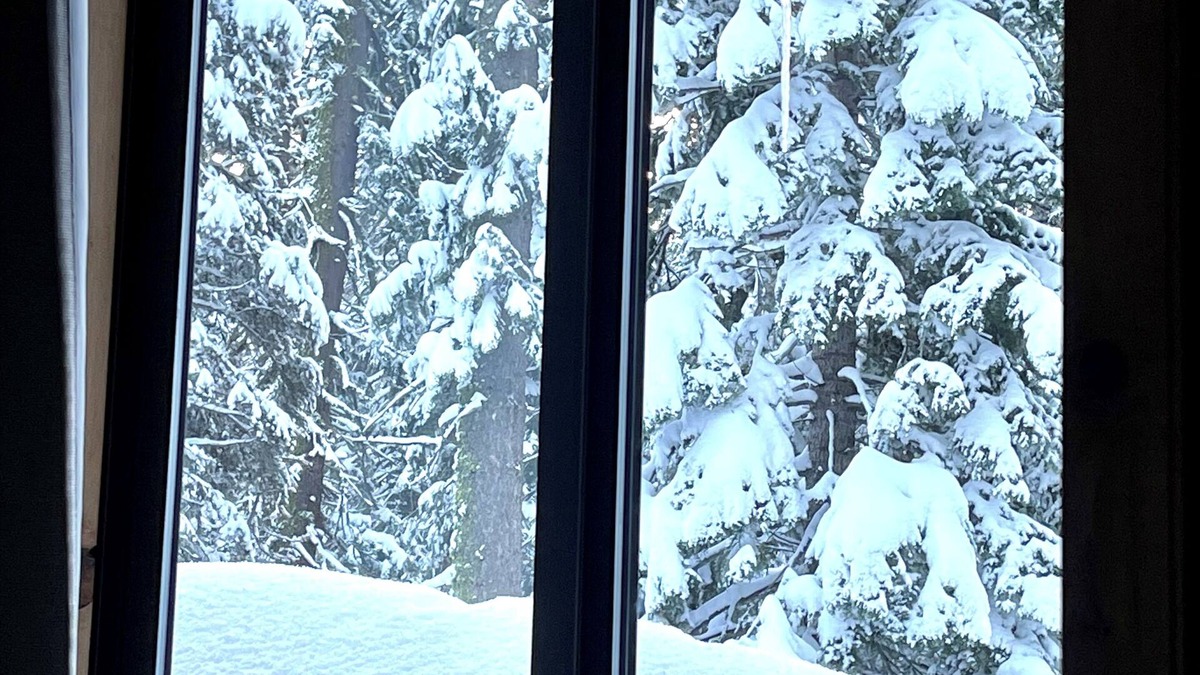 Echo Lake Cabin | Cozy cabin near Lake Tahoe SierraSki resort . 2bed 2bath.