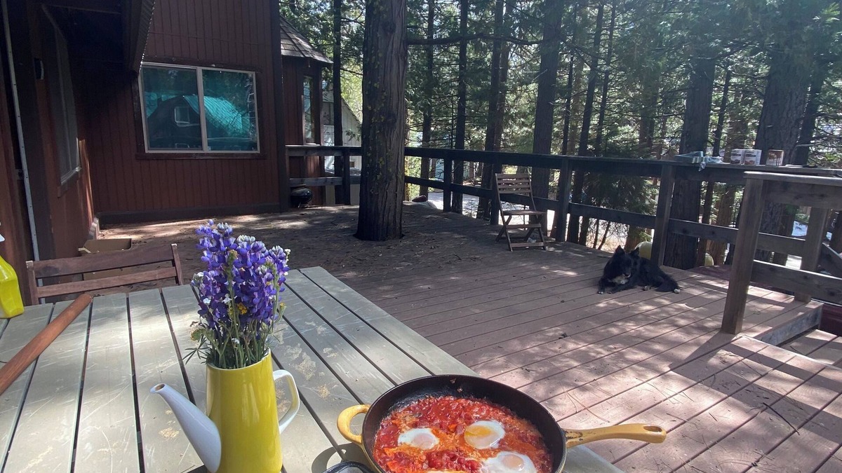 Mineral Cabin | Cozy Cabin near the entrance to Lassen National Park
