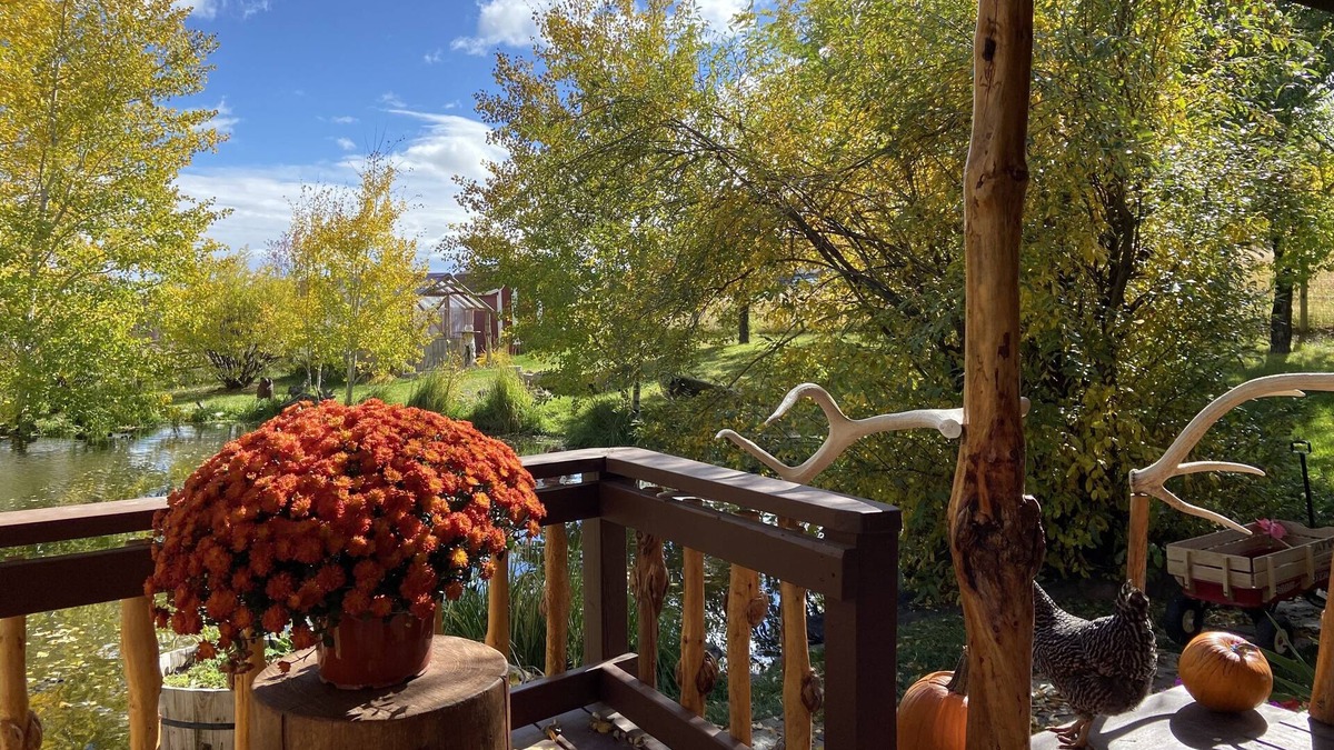 Broadwater County Cabin | Cozy cabin nestled beside a spring-fed pond&hobby farm in the Elkhorn Mountains