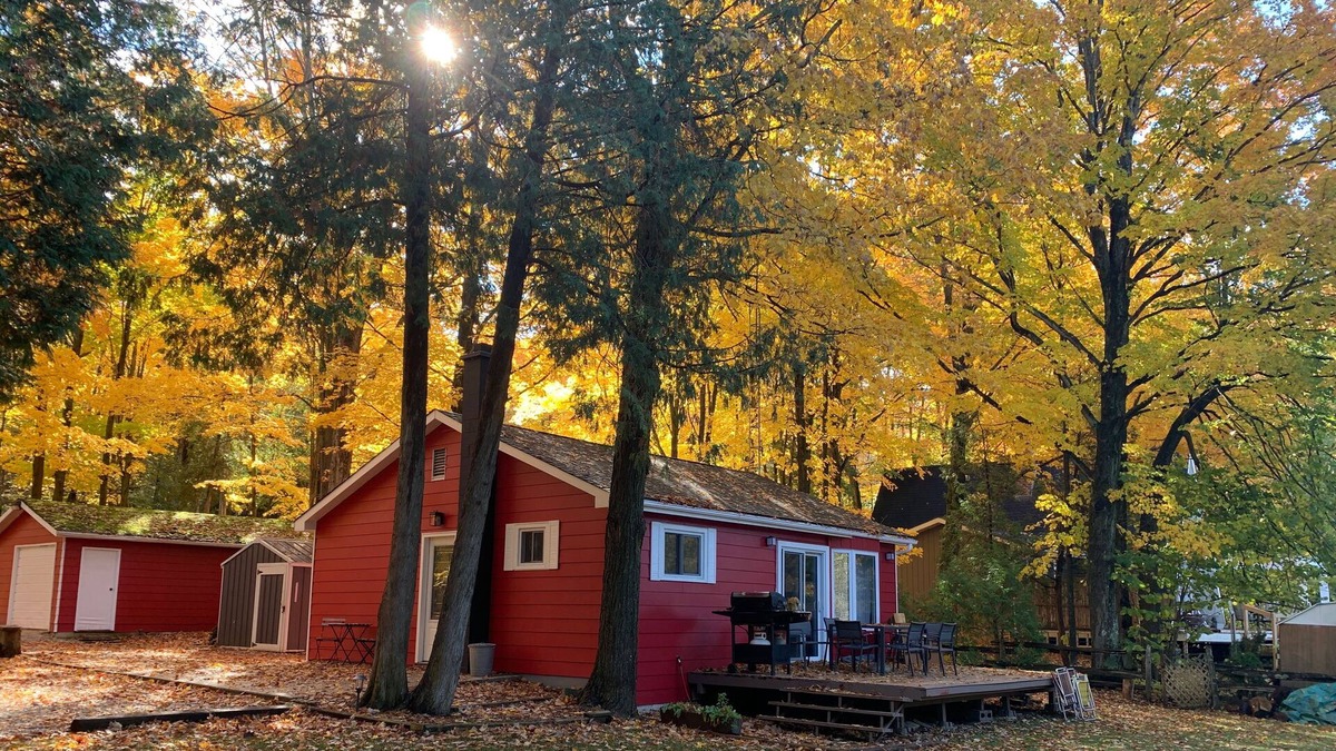 West Grey Cabin | Cozy cabin on a river with an outdoor wood burning sauna and firepit
