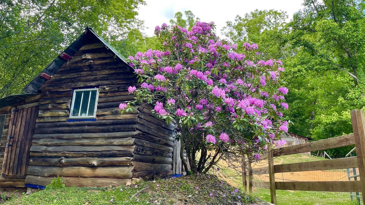 Green Mountain Cabin | Cozy Cabin: Peaceful Haven in the Heart of Nature