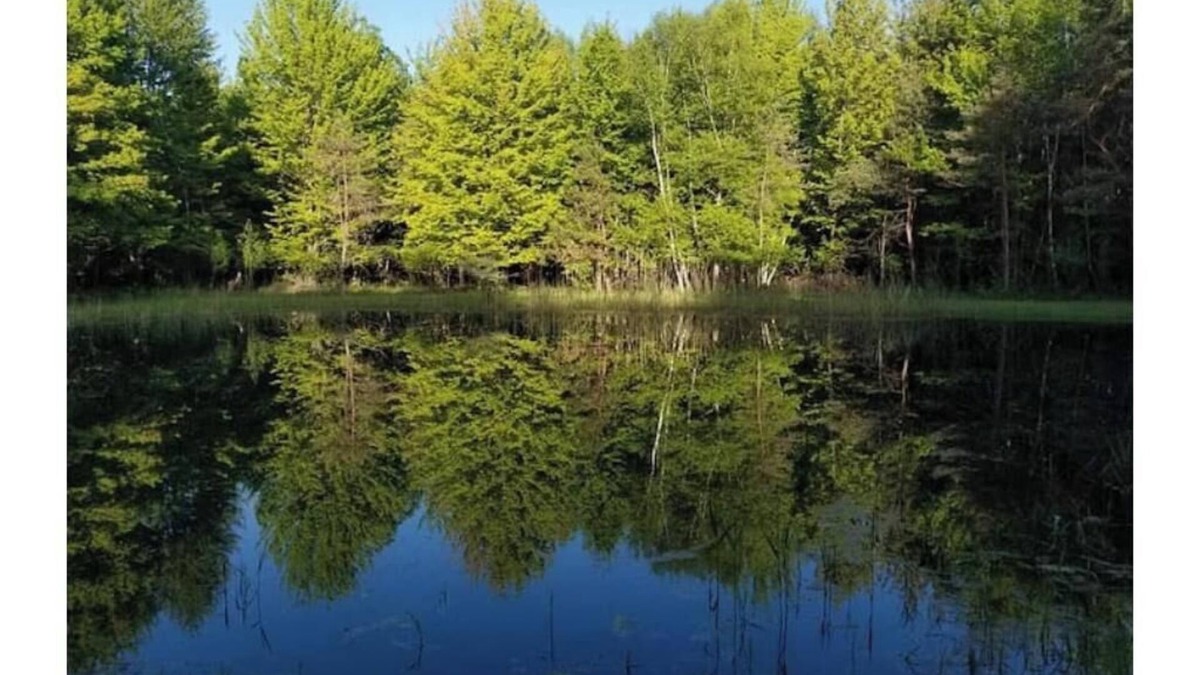 Wheeler Cabin | Cozy Cabin Retreat Pond & Trails – Nature Awaits!