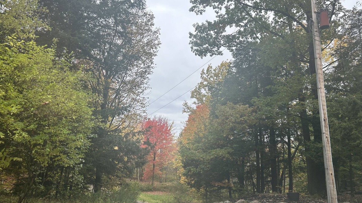 Perrysburg Cabin | Cozy cabin tucked away in the woods. pets and kid welcomed