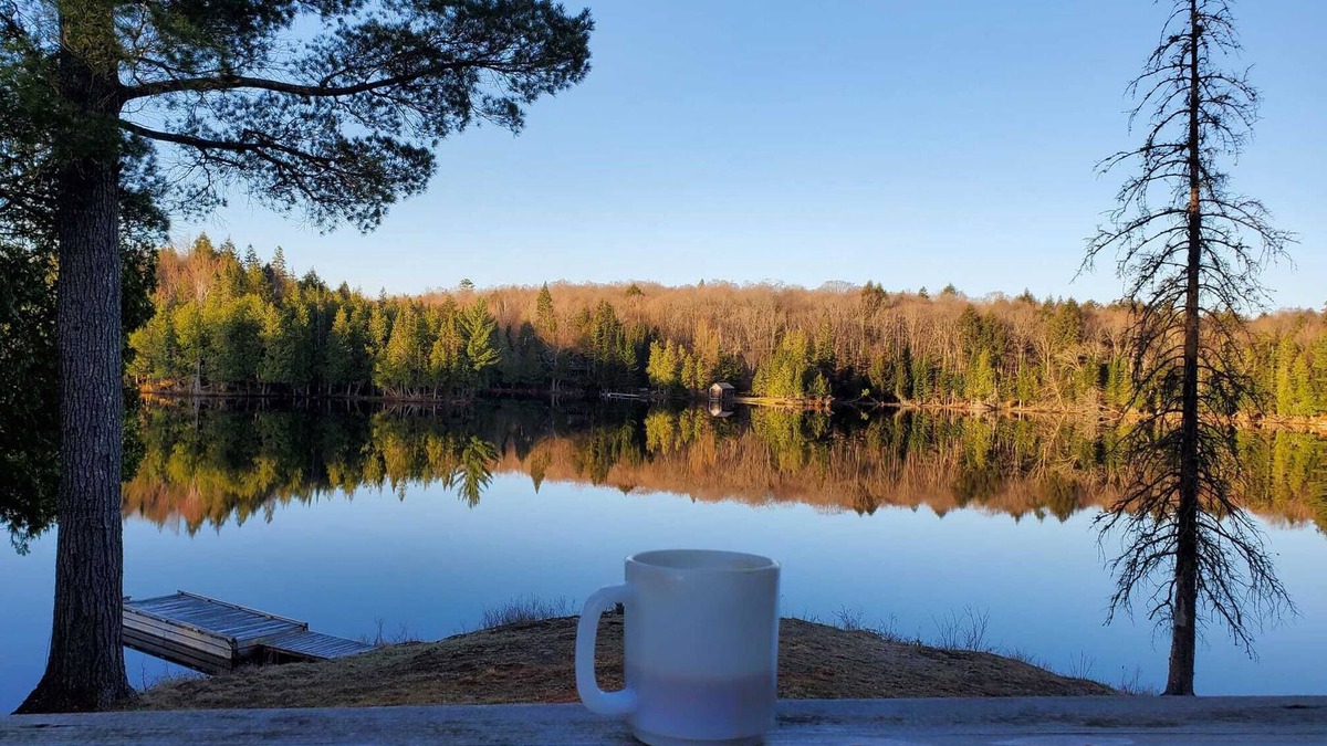 Unorganized Centre Parry Sound Cabin | Cozy Cabin w/2000ft waterfront, 100+ acres to explore